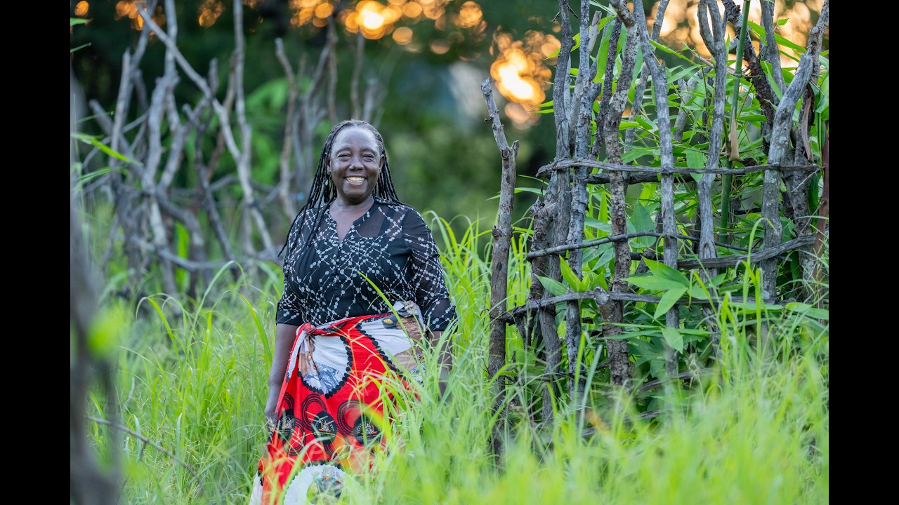 How Bamboo Is Reviving Water Security and Livelihoods in Zambia