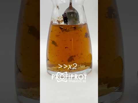 Трибулус 90% экстракт PROFIPROT 1 кг - фото 1 - id-p2669740693