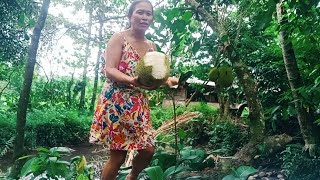 Download lagu Get green jackfruit mp3