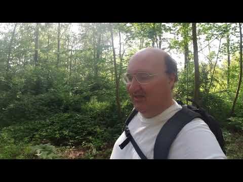 MongoTV_3414 - Danish Vlog - Lille Gåtur i Skoven Mandag