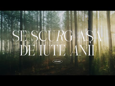 Se scurg asa de iute anii // cover // cu versuri