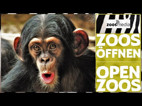 Warum wir Zoos SICHER öffnen können | zoos.media