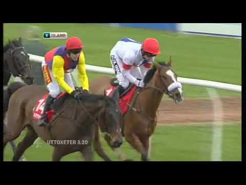 2012 Midlands Grand National Chase