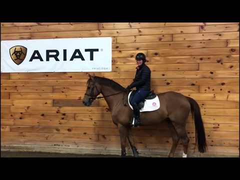 The Madden Method - Halt and Stand