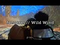 Nosotros // Wild Wind // Lyrics