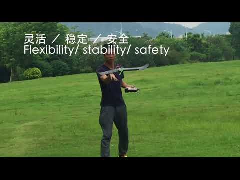 Hunter PNP FPV Mini Race Wing