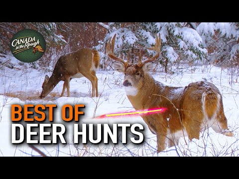 25 Deer Hunts Under 15 Minutes! (ULTIMATE Deer Hunting Compilation) | BEST OF