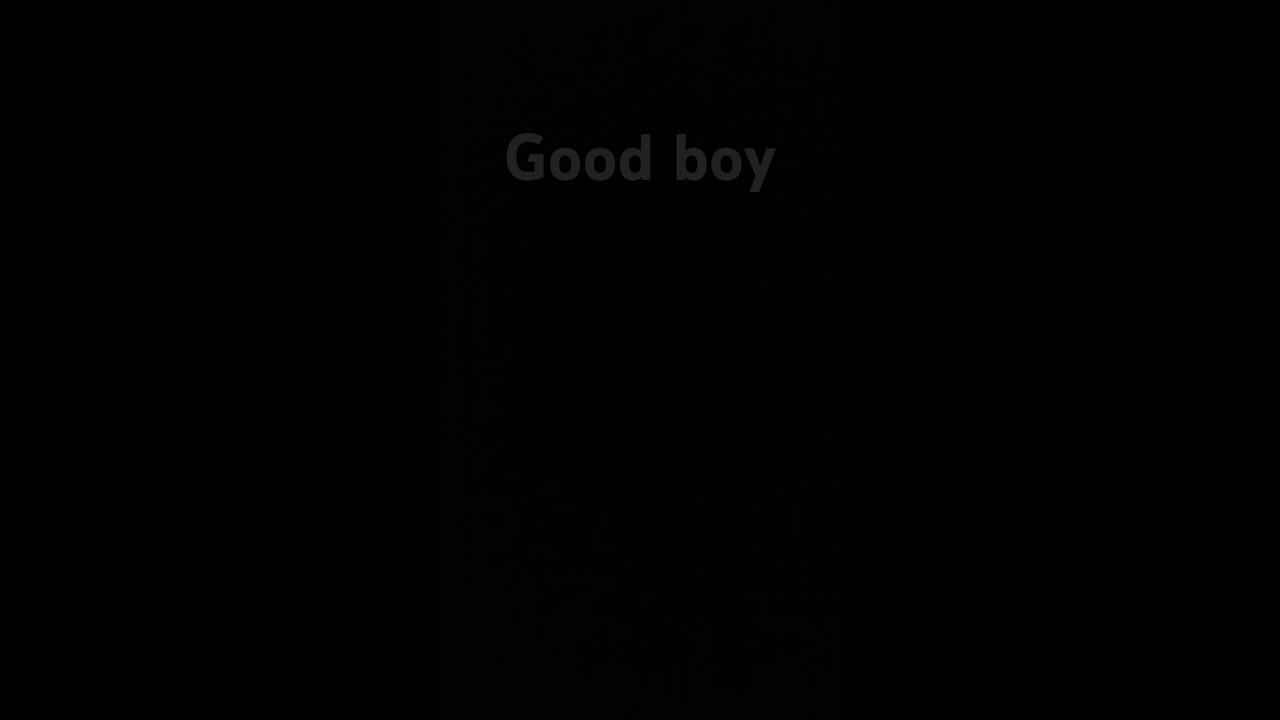 Good boy #goodboy #notmeme