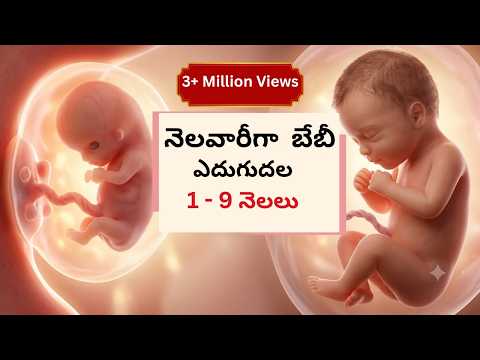1 - 9 months తొమ్మిది నెలల అద్భుతం - గర్భస్థ శిశువు ఎదుగుదల - normal delivery