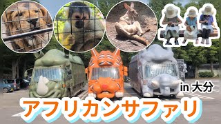【大分アフリカンサファリ】かわいい動物とふれあい 大迫力!!ジャングルバスに乗ってエサあげ