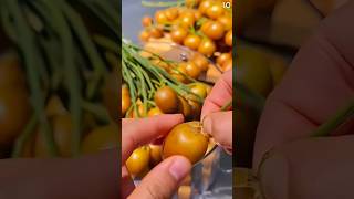 Download lagu Beginilah cara cepat kupas buah tanpa alat dan memuaskan #shorts mp3