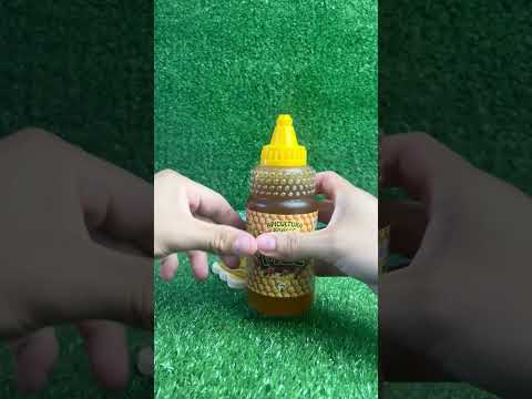 Vídeo Apicultura Borges