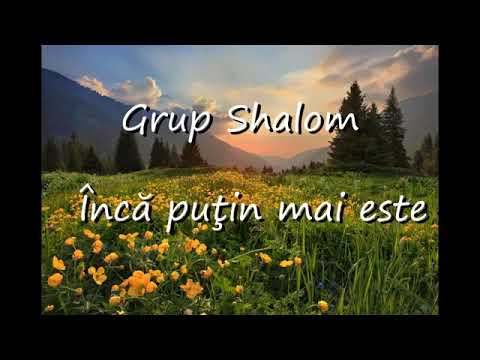 Grup shalom