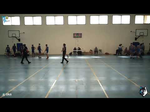 PRECADETE MASCULINO: CB 7 Palmas - Claret