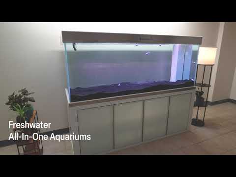 Aqua Dream 30 Second Brand Spotlight