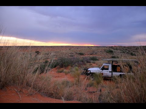 Northern Cape Green Kalahari Explorer