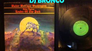 WALTER WOLFMAN WASHINGTON * NOBODY'S FAULT BUT MINE