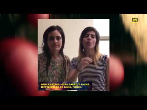 ERUCA SATIVA GIRA BARRO Y FAUNA. ZEPPELIN BAR II-03 DE JUNIO// JUJUY.