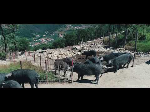 Il Poggiolino Montemurlo 2019 by Dronart