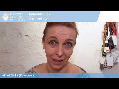 Benedek Elek: A mezei egér