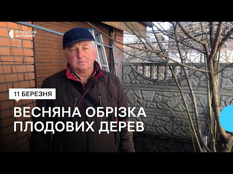 ​Весняна обрізка плодових дерев — поради садівника з Житомира