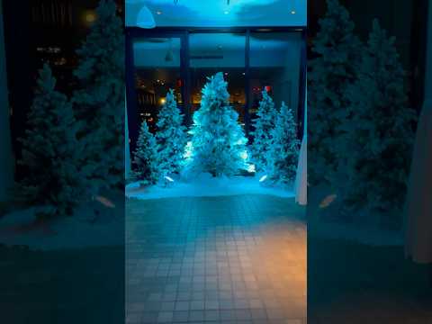 DIY INSTANT FAKE SNOW HACK! ❄️ | Easy Indoor Winter Wonderland Decor & Party Setup