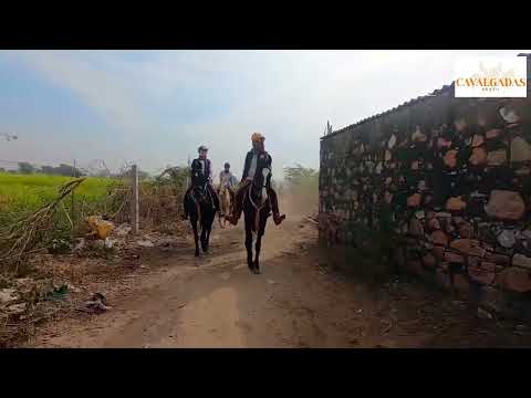 Cavalgada dos Marajás de Rajasthan