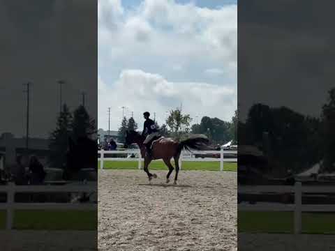 Playdate video 2