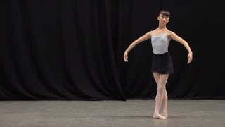 Insight: Ballet Glossary - Pas de chat