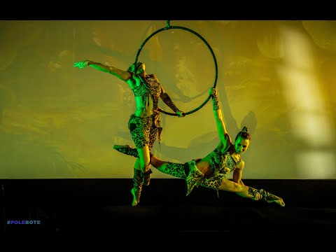 WINGS 2020 | Ekaterina Gavrilicheva, Mariya Mashtakova (AERIAL HOOP, PROFESSIONAL DUO) 1440p - 2.7K