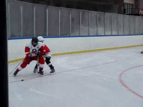 Üröm-Drago kölyök