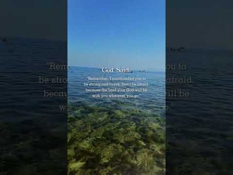 #travel #trending #nature #trendingshorts #nature #travelvlog