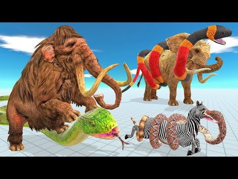 Woolly Mammoth, Elephants Vs Titanoboa Snake Fight | Mammoth Save Elephant From Giant Snake Battle