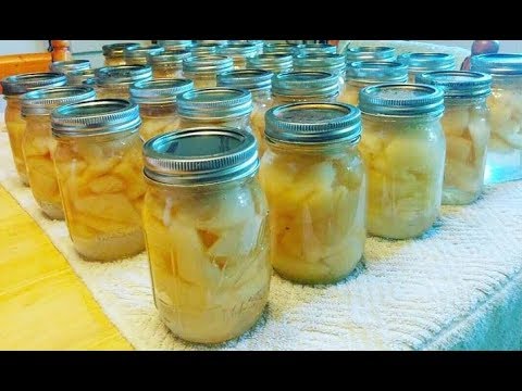download lagu mp3 mp4 Recipe For Canning Pears In Light Syrup, download lagu Recipe For Canning Pears In Light Syrup gratis, unduh video klip Recipe For Canning Pears In Light Syrup
