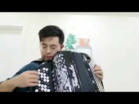 FISITALIA ACCORDIONS - Liu Zhao