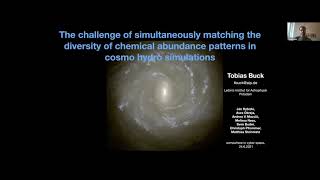 Tobias Buck • Challenges matching observed diversity of chemical abundance patterns to simulations