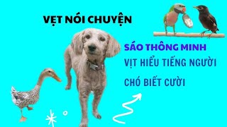 505🦜 A day of a duck that understands human language, a parrot that speaks, a dog that laughs, an...