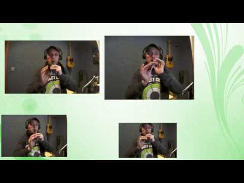 Amazing Grace Irish Tin Whistle