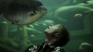 The Hanging Stars en 'Zaragoza No Other'