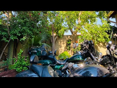 Garden Sessions Episode 1 featuring Lings DaSoulMaster