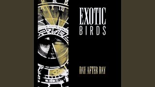 Day After Day (Halucienda)