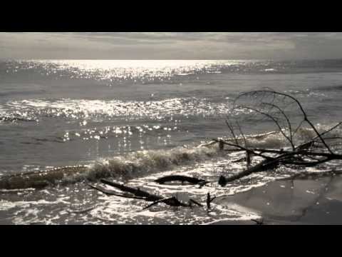 Trance. Valters Pūce