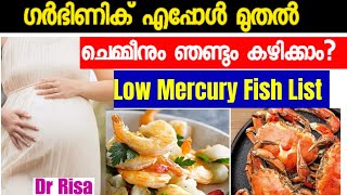 Best Food In Pregnancy |Food that Cause Miscarriage |Can Pregnant lady Eat Prawns And Crab