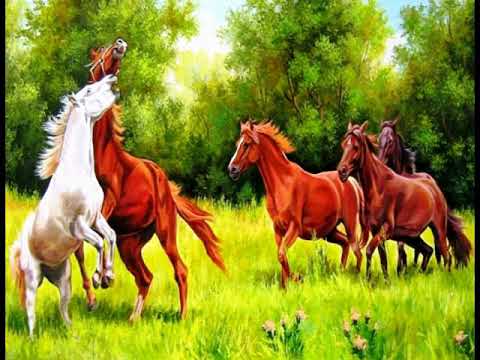 Zelené pláně / Karel Zich & Spirituál kvintet.