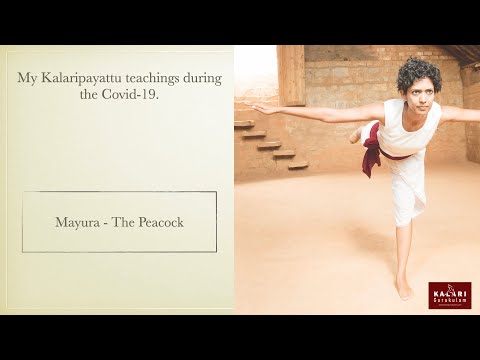 Kalaripayattu: Peacock - tactic (Mayura - prayoga)