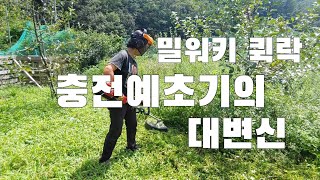 좀 더 강력한 충전예초기. 이걸로 정원관리 끝.  이제 정원만 만들면 됨.  밀워키퀵락 사용후기