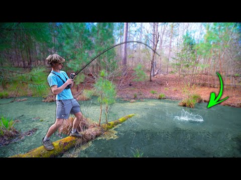 Is THIS Bass Fisherman's HEAVEN!? (Frog Fishing For GIANTS)