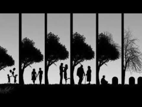 Kx.Txawj Pes Vaj: Kev Tuag Tsis Zam Leejtwg