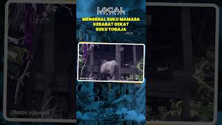 Mengenal Suku Mamasa di Sulawesi Barat, Masih Berkerabat dengan Suku Toraja