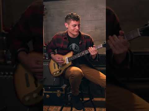 This Guitar is IMPOSSIBLE to Find on The Internet 😲